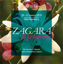 Mostra mercato Zagara di Primavera all'Orto Botanico di Palermo